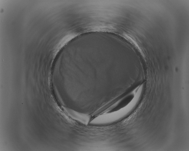 X0000087331277200705181027