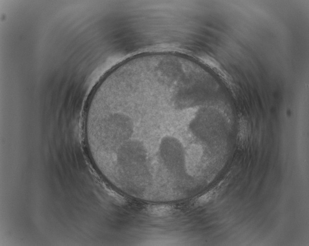 X0000087331278200705181027