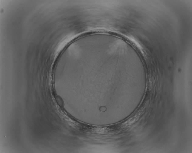 X0000087331279200705181027