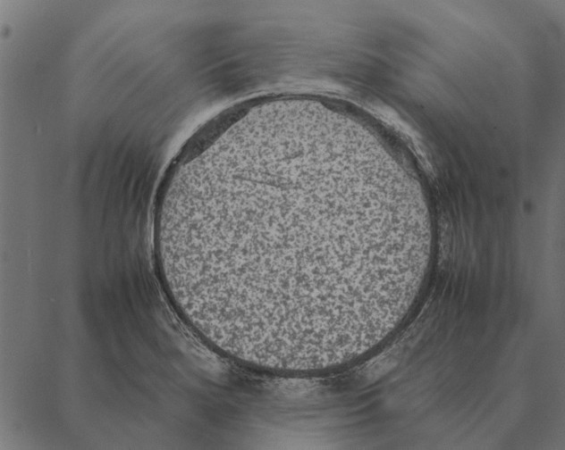 X0000087331280200705181027