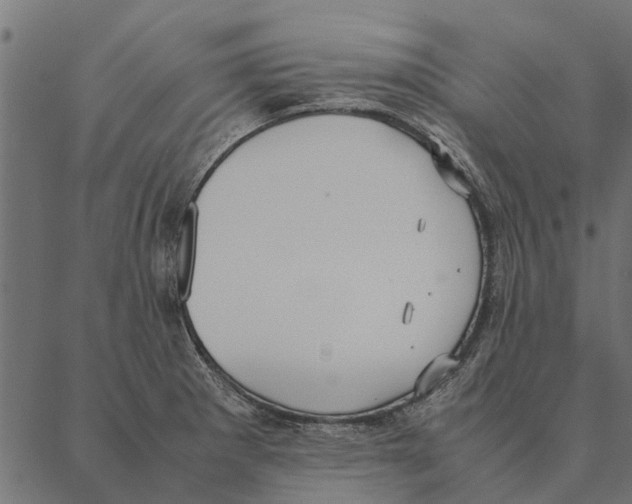 X0000087331281200705181027