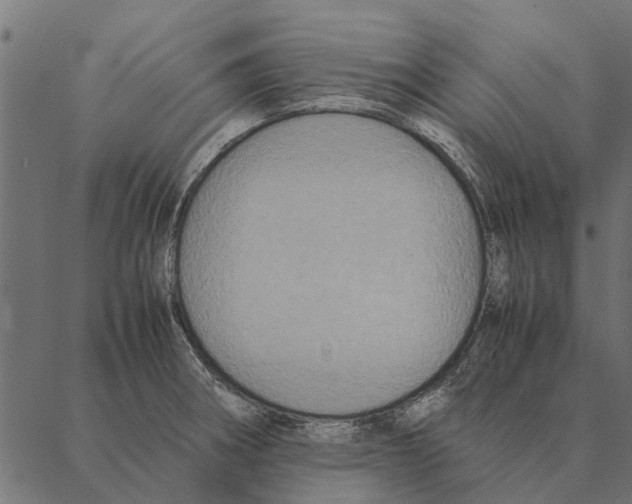 X0000087331282200705181027