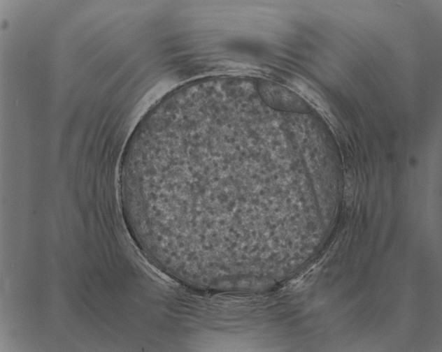 X0000087331283200705181027