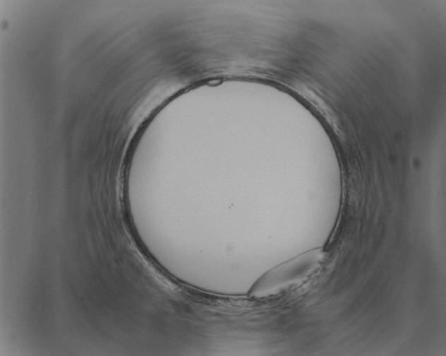 X0000087331285200705181027