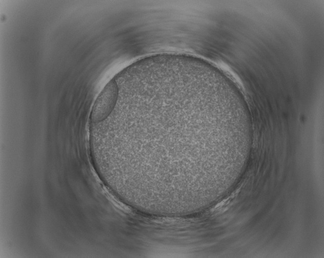 X0000087331287200705181027