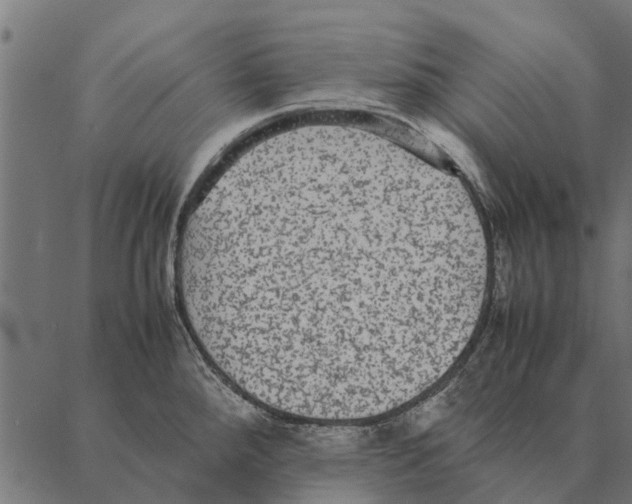 X0000087331288200705181027