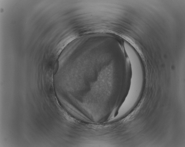 X0000087331289200705181027