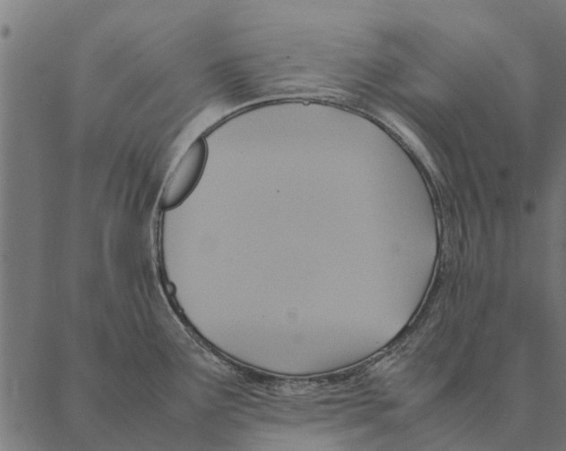 X0000087331291200705181027