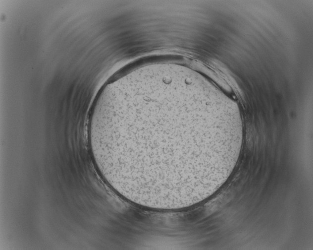 X0000087331292200705181027