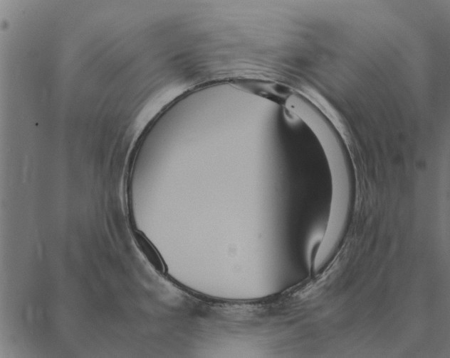 X0000087331293200705181027