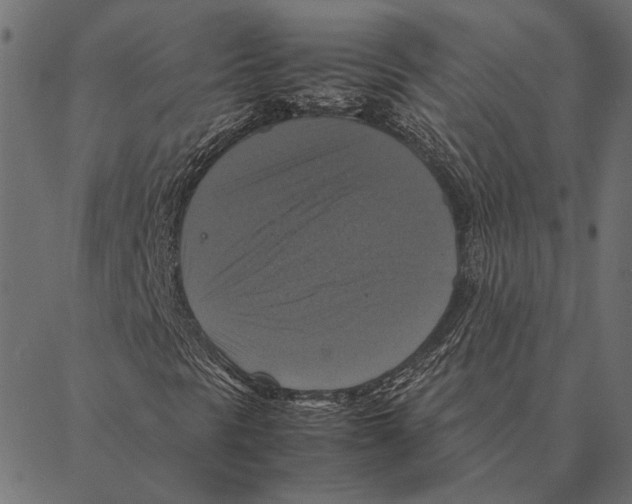 X0000087331297200705181026