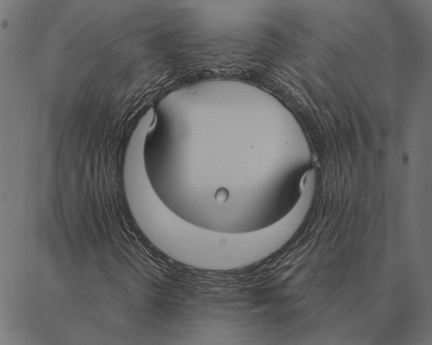 X0000087331298200705181026