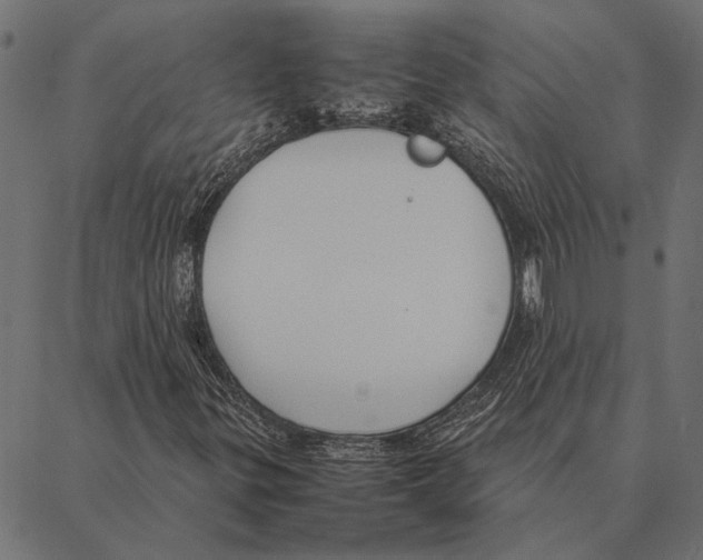 X0000087331299200705181026