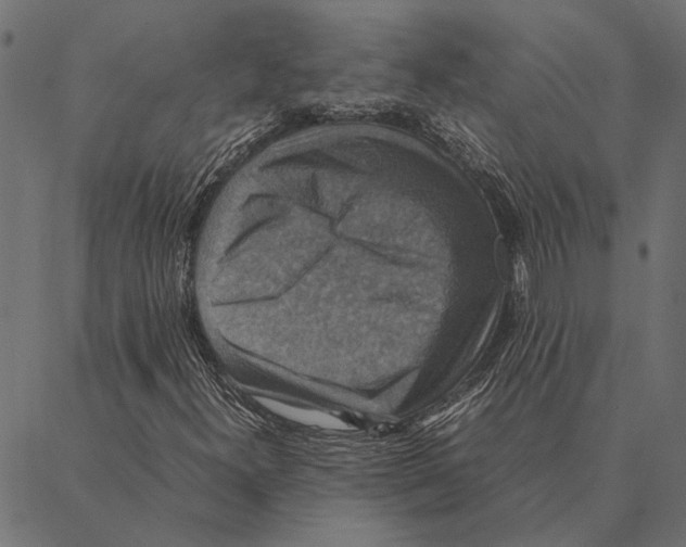 X0000087331300200705181026