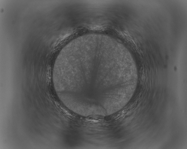 X0000087331301200705181026