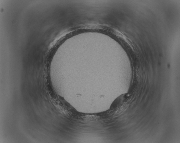 X0000087331304200705181026