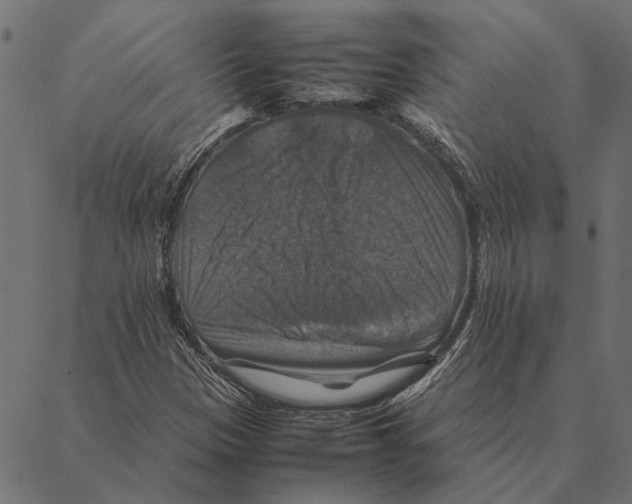 X0000087331305200705181026