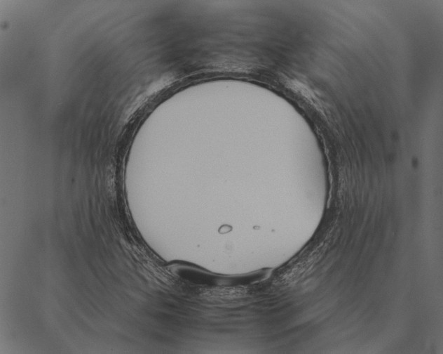 X0000087331307200705181026