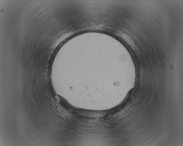 X0000087331308200705181026