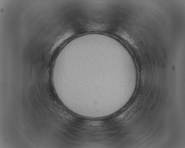 X0000087331309200705181026