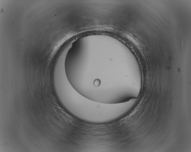 X0000087331310200705181026