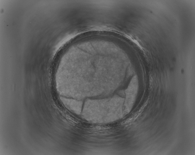 X0000087331311200705181026