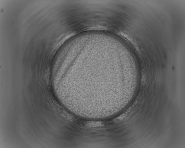 X0000087331313200705181026