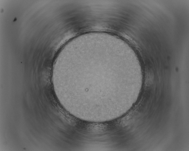 X0000087331314200705181026