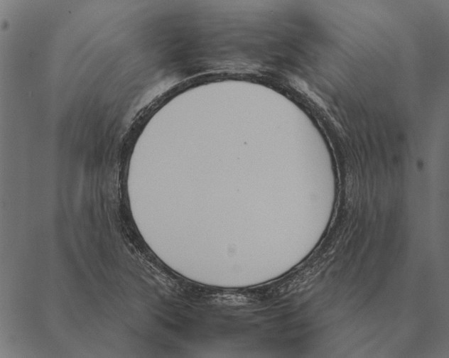 X0000087331315200705181026