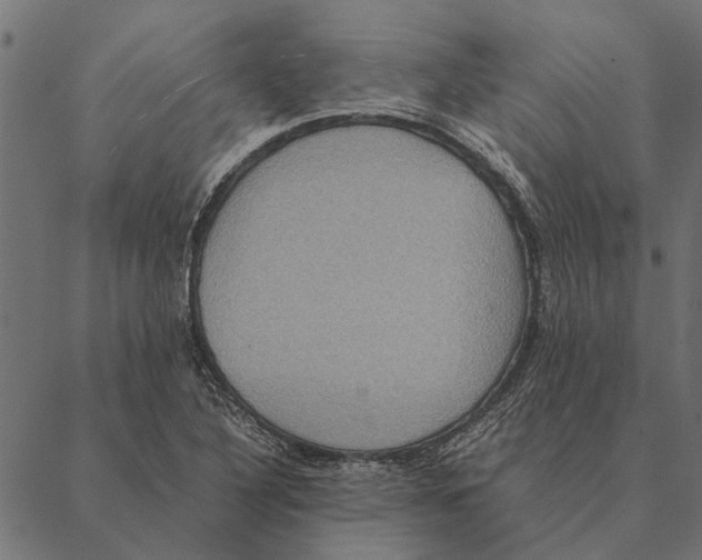 X0000087331316200705181026