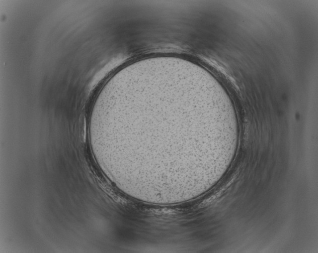 X0000087331317200705181026