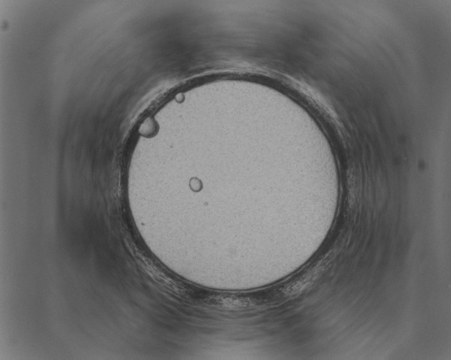 X0000087331318200705181026