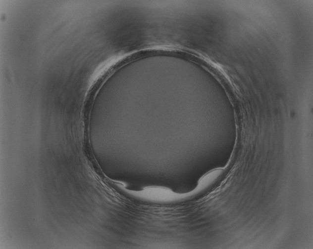 X0000087331319200705181026