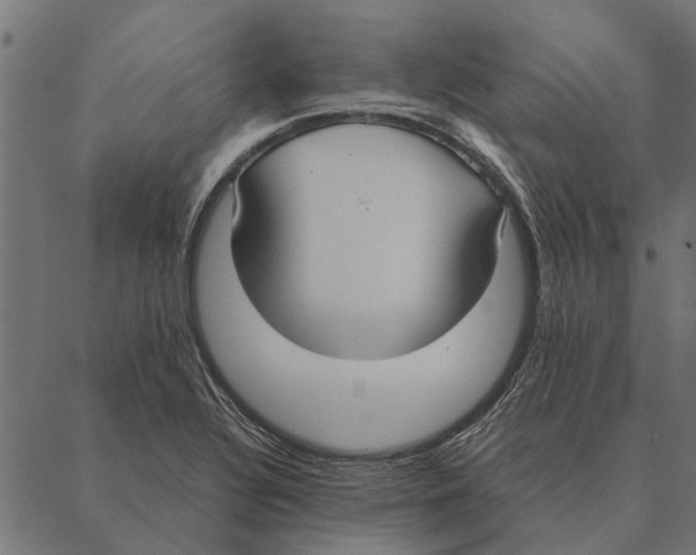 X0000087331320200705181026