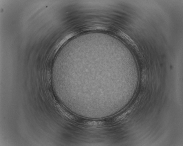 X0000087331321200705181026