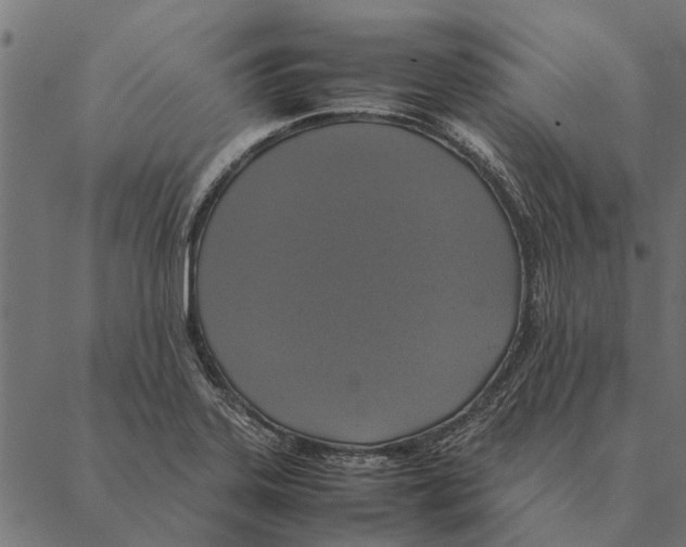 X0000087331323200705181026