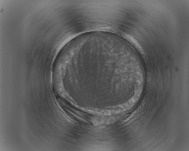 X0000087331324200705181026