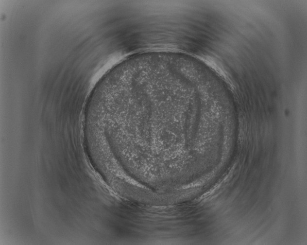 X0000087331325200705181026