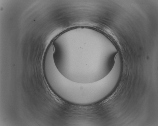 X0000087331328200705181026