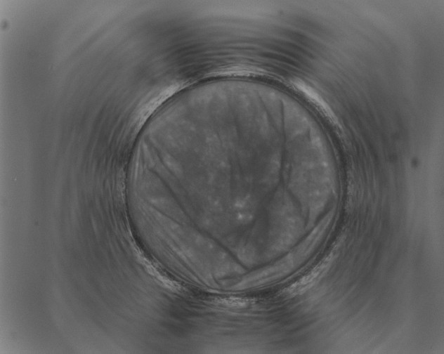 X0000087331329200705181026