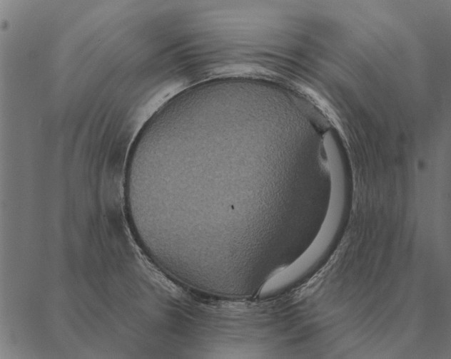 X0000087331330200705181026