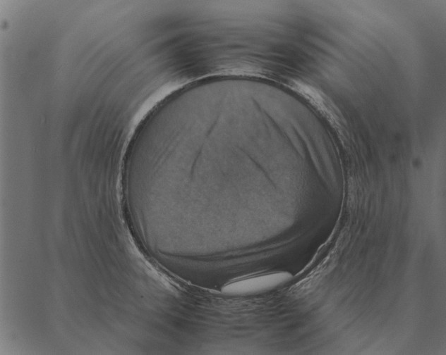 X0000087331331200705181026