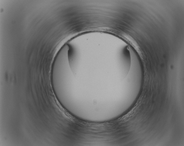 X0000087331332200705181026