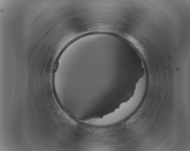 X0000087331334200705181026