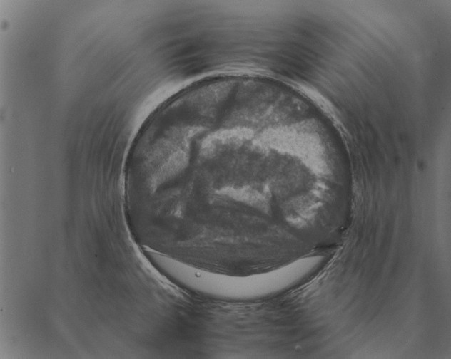 X0000087331335200705181026