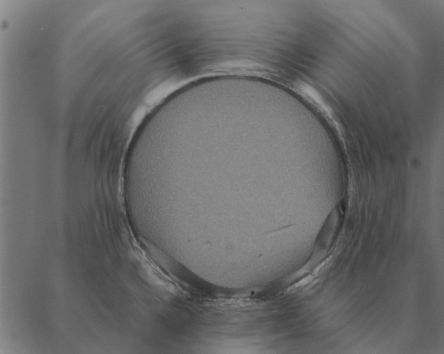 X0000087331336200705181026