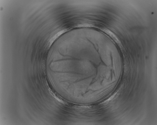 X0000087331337200705181026