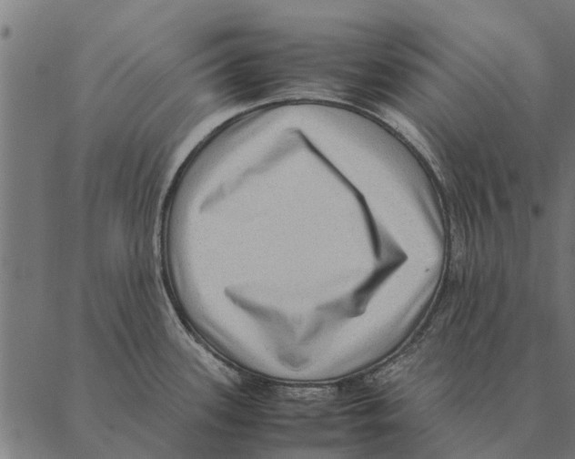 X0000087331339200705181026