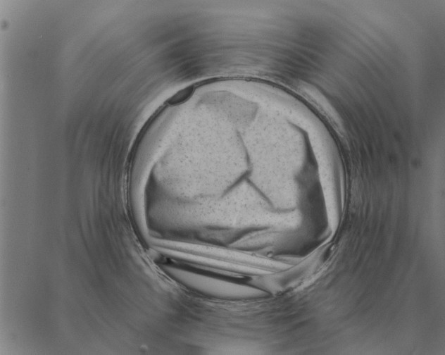 X0000087331340200705181026