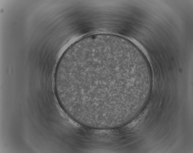 X0000087331341200705181026